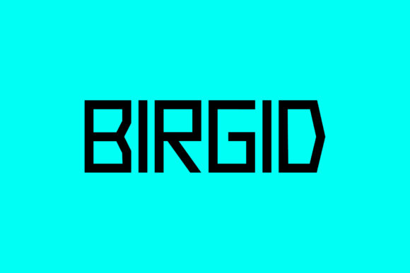Birgid: A Geometric Display Font for Modern Editorial Design