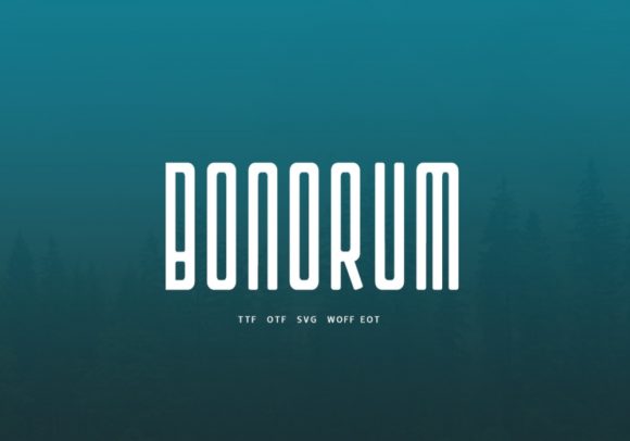 Bonorum: A Modern Display Font for Creative Designs