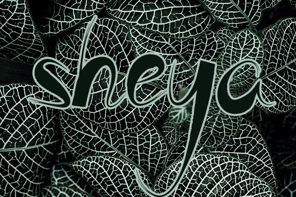 Sheya Font: Elevate Your Brand with Adventurous Typography